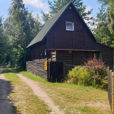 Domki Nad Jeziorem, Las, Do 10 Osob Jezioro Wilczynskie Budzislawskie - Domek Letniskowy Osobno Ogrodzony, Ogrzewany Mile Widziane Pieski, Zwierzeta- Wielkopolska, 62-550 Zygmuntowo Gm Wilczyn Eksteriør billede