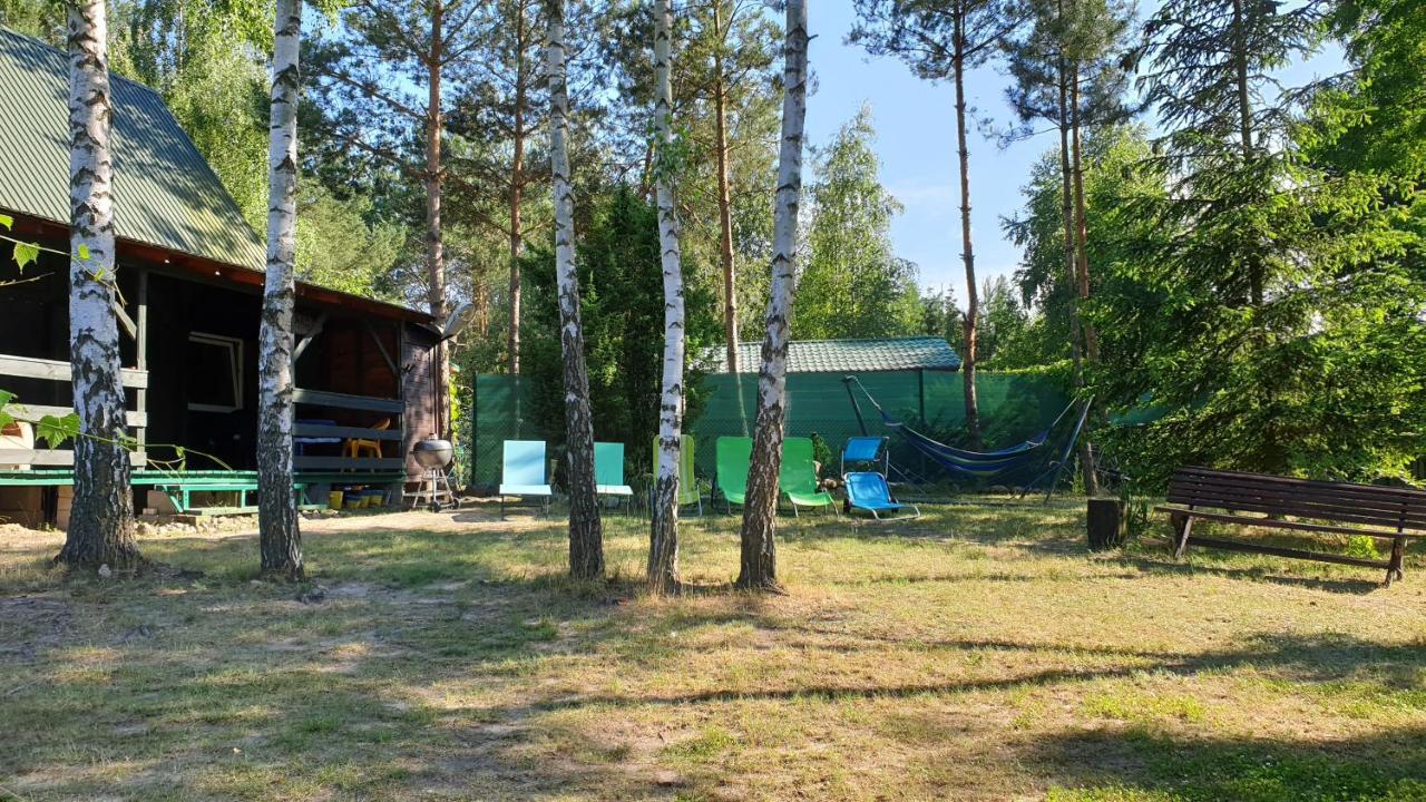 Domki Nad Jeziorem, Las, Do 10 Osob Jezioro Wilczynskie Budzislawskie - Domek Letniskowy Osobno Ogrodzony, Ogrzewany Mile Widziane Pieski, Zwierzeta- Wielkopolska, 62-550 Zygmuntowo Gm Wilczyn Eksteriør billede