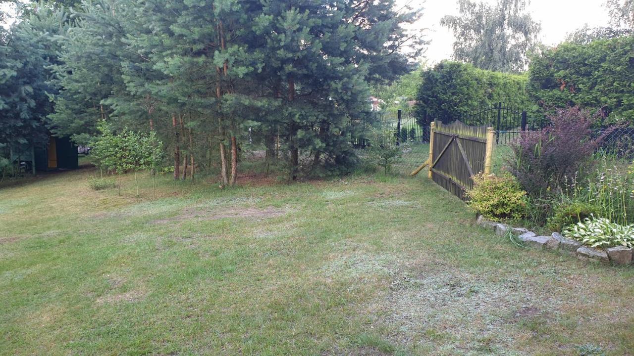 Domki Nad Jeziorem, Las, Do 10 Osob Jezioro Wilczynskie Budzislawskie - Domek Letniskowy Osobno Ogrodzony, Ogrzewany Mile Widziane Pieski, Zwierzeta- Wielkopolska, 62-550 Zygmuntowo Gm Wilczyn Eksteriør billede