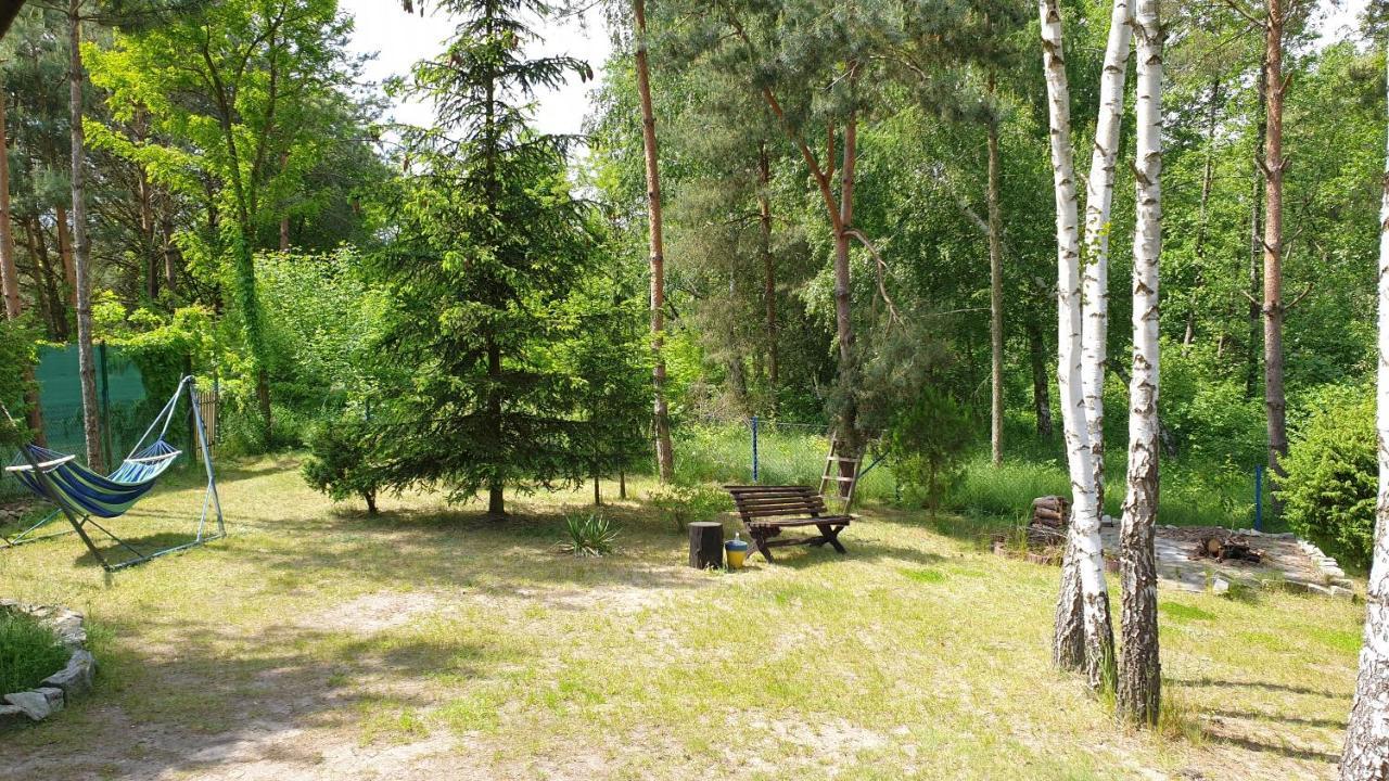 Domki Nad Jeziorem, Las, Do 10 Osob Jezioro Wilczynskie Budzislawskie - Domek Letniskowy Osobno Ogrodzony, Ogrzewany Mile Widziane Pieski, Zwierzeta- Wielkopolska, 62-550 Zygmuntowo Gm Wilczyn Eksteriør billede