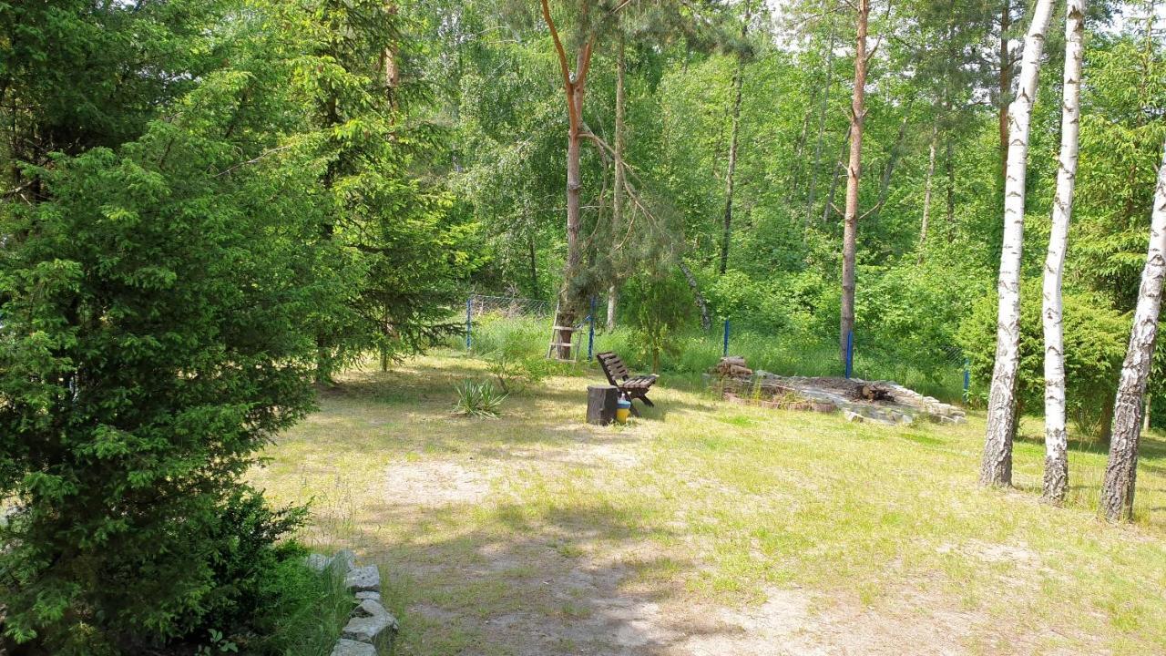 Domki Nad Jeziorem, Las, Do 10 Osob Jezioro Wilczynskie Budzislawskie - Domek Letniskowy Osobno Ogrodzony, Ogrzewany Mile Widziane Pieski, Zwierzeta- Wielkopolska, 62-550 Zygmuntowo Gm Wilczyn Eksteriør billede