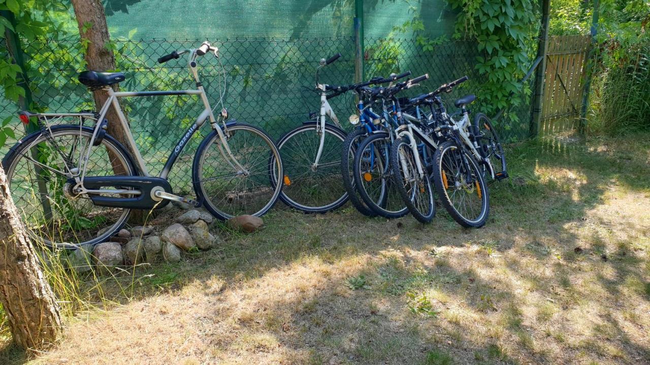 Domki Nad Jeziorem, Las, Do 10 Osob Jezioro Wilczynskie Budzislawskie - Domek Letniskowy Osobno Ogrodzony, Ogrzewany Mile Widziane Pieski, Zwierzeta- Wielkopolska, 62-550 Zygmuntowo Gm Wilczyn Eksteriør billede