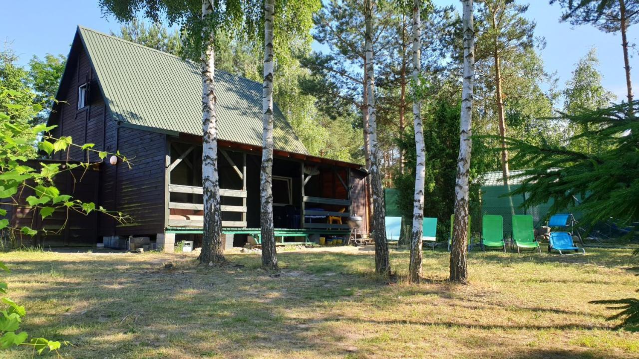 Domki Nad Jeziorem, Las, Do 10 Osob Jezioro Wilczynskie Budzislawskie - Domek Letniskowy Osobno Ogrodzony, Ogrzewany Mile Widziane Pieski, Zwierzeta- Wielkopolska, 62-550 Zygmuntowo Gm Wilczyn Eksteriør billede