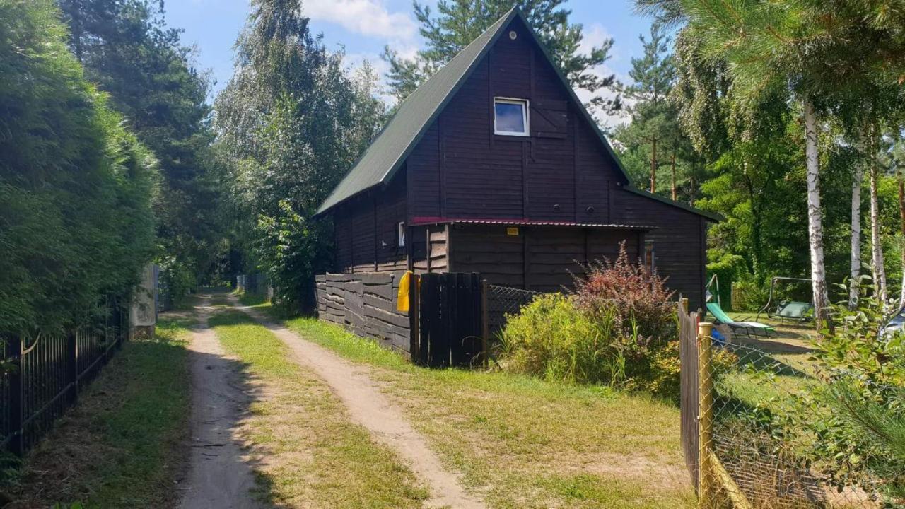 Domki Nad Jeziorem, Las, Do 10 Osob Jezioro Wilczynskie Budzislawskie - Domek Letniskowy Osobno Ogrodzony, Ogrzewany Mile Widziane Pieski, Zwierzeta- Wielkopolska, 62-550 Zygmuntowo Gm Wilczyn Eksteriør billede